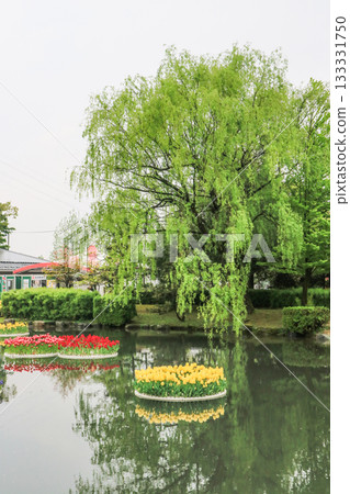 礪波鬱金香公園 礪波鬱金香公園 133331750