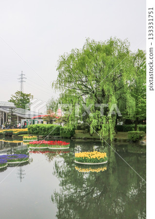 礪波鬱金香公園 133331751