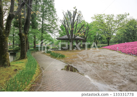 礪波鬱金香公園 礪波鬱金香公園 133331778