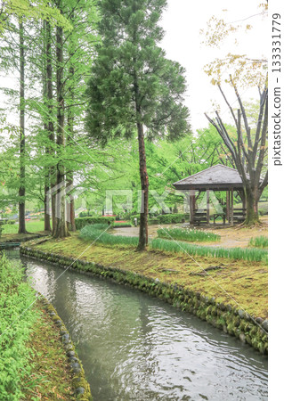 礪波鬱金香公園 礪波鬱金香公園 133331779