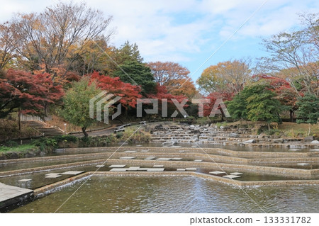 公園水邊的秋葉 公園水邊的秋葉 133331782