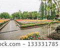 Tonami Tulip Park Tonami Tulip Park 133331785
