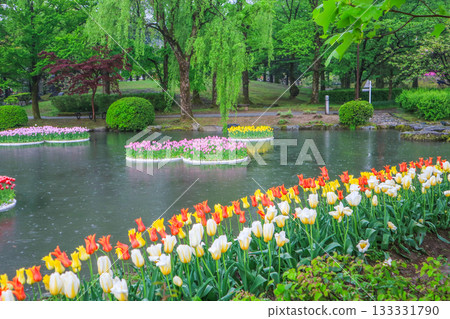 Tonami Tulip Park Tonami Tulip Park 133331790