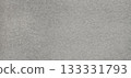 Gray monochrome carpet texture 133331793