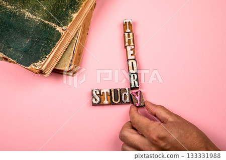 Words Study and Theory Formed with Vintage Letter Blocks on Pink Background Representing Education 133331988