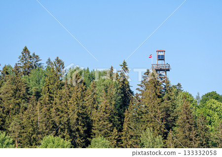 observation tower above the forest tops in Delinkalns, Aluksne, Vidzeme, Latvia 133332058