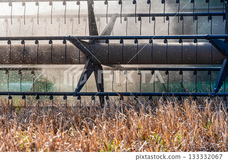 the reel of a agricultural combine harvester cuts wheat cereals in the dust, harvesting season 133332067