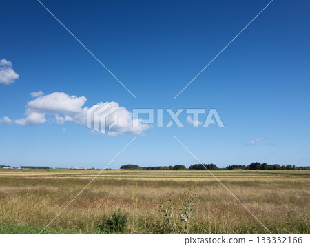 A typical rural scene A typical rural scene 133332166