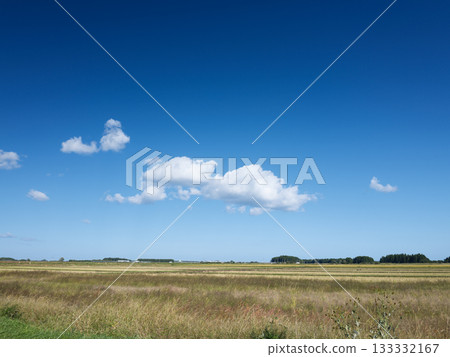 A typical rural scene A typical rural scene 133332167