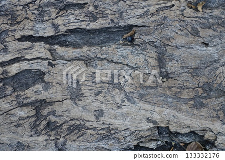 rotten wooden surface rotten wooden surface 133332176