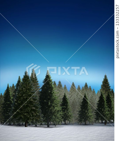 Fir tree forest in snowy landscape Fir tree forest in snowy landscape 133332257