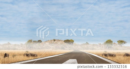 Flat design showing paved road leading to horizon through misty savanna with arrow 133332316