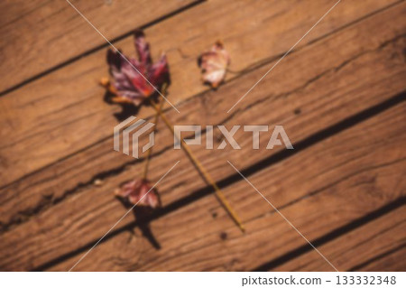High angle view of fallen twig 133332348