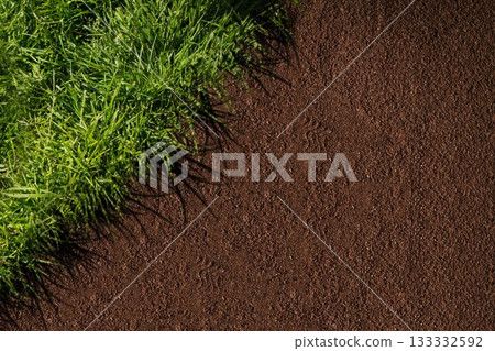 Grass blades are casting shadows onto dirt ground in flat design illustration with animal tracks Grass blades are casting shadows onto dirt ground in flat design illustration with animal tracks 133332592