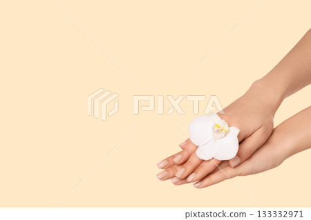 Delicate hands highlight a flower for body care 133332971