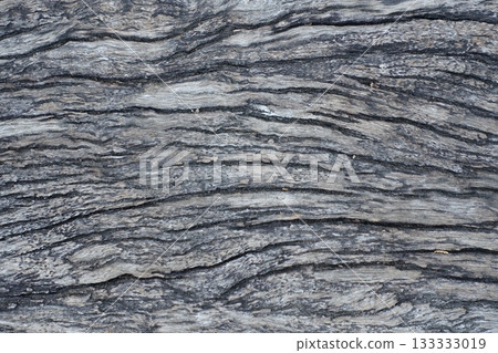 The surface of an old wooden board The surface of an old wooden board 133333019