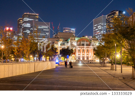 Osaka Prefecture: Night view of Osaka City Central Public Hall and Nakanoshima 133333029