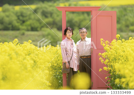 Senior couple sightseeing in a field of rapeseed flowers in full bloom (strong retouching version) 133333499