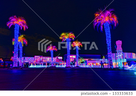 Yomiuriland Jewellumination Yomiuriland Jewellumination 133333633