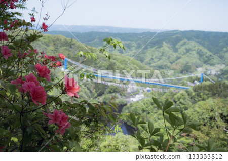茨城縣:杜鵑花和龍神峽谷(從赤岩展望台出發) 茨城縣:杜鵑花和龍神峽谷(從赤岩展望台出發) 133333812