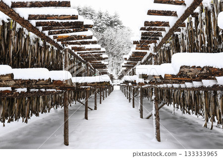 The pollack is drying in the winter wind. Gangwon-do, Hwangtae Deokjang The pollack is drying in the winter wind. Gangwon-do, Hwangtae Deokjang 133333965