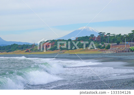 Mount Fuji with its first snow, autumn seaside and big waves 133334126