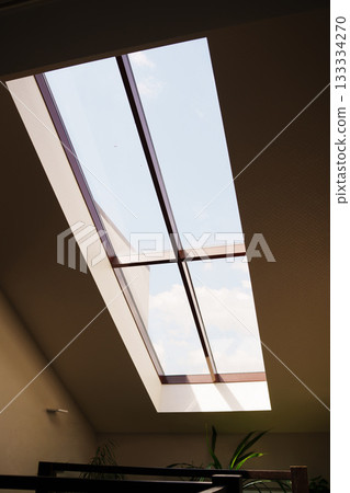 Skylight brings natural light into contemporary room 133334270