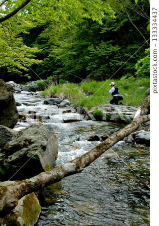 在頗受歡迎的志賀留河進行溪流釣魚 在頗受歡迎的志賀留河進行溪流釣魚 133334437