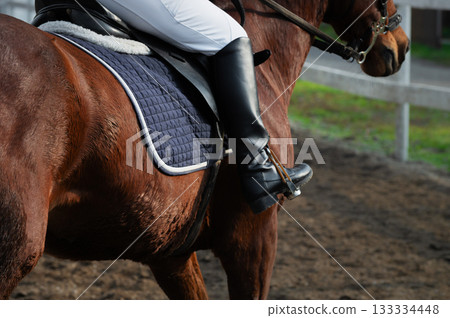 Women's black leather jockey boot in stirrup while sitting on a horse at a paddock walk Women's black leather jockey boot in stirrup while sitting on a horse at a paddock walk 133334448