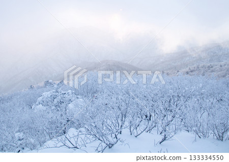Deogyusan National Park in Muju-gun covered in snow. Korea. Deogyusan National Park in Muju-gun covered in snow. Korea. 133334550