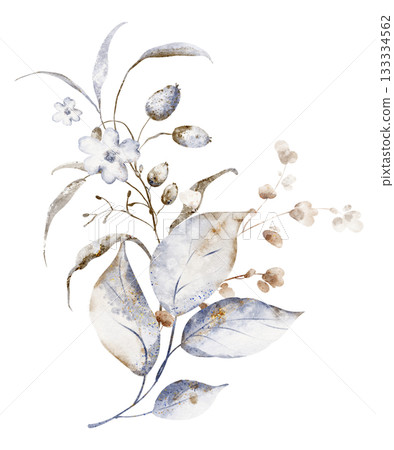 Watercolor Dried Flower Bouquet Illustration 133334562