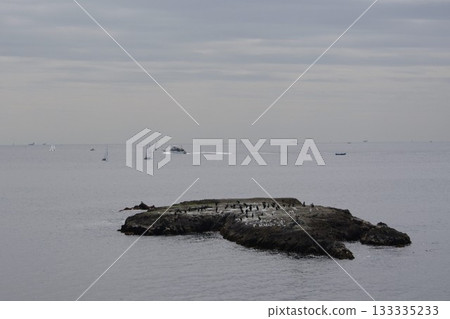 江之島鐮口和水道口2號在退潮時可見的岩石 133335233