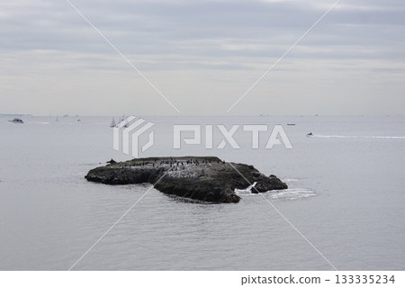 江之島鹿之口和水道口海岸低潮時可見的岩石 3 江之島鹿之口和水道口海岸低潮時可見的岩石 3 133335234