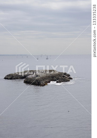 Rocks visible at low tide at Enoshima Kamanokuchi and Suidoguchi 1 Rocks visible at low tide at Enoshima Kamanokuchi and Suidoguchi 1 133335238