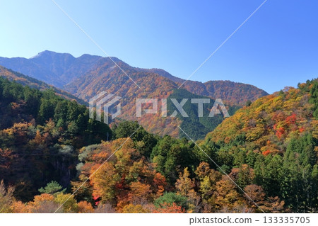 View of the colorful mountainside of Sanmine, Oku-Iya Road (Higashi-Iya, Tokushima Prefecture) 133335705