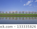 Spring scenery of cherry blossom trees lining the river in Gunma's water town 133335826