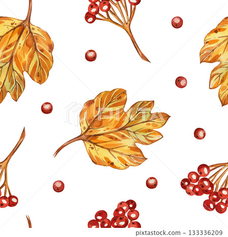 Seamless watercolor pattern of viburnum leaves, red viburnum berries, all objects hand-painted with watercolor and isolated on a white background. The illustration for printing on fabric, paper. Seamless watercolor pattern of viburnum leaves, red viburnum berries, all objects hand-painted with watercolor and isolated on a white background. The illustration for printing on fabric, paper. 133336209