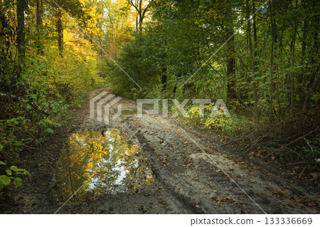 A puddle on the road in the autumn forest A puddle on the road in the autumn forest 133336669