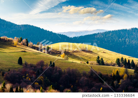 autumn landscape of rural region in carpathian mountains. rolling hills with green alps in dappled light. serene countryside on a sunny morning and cloudy sky. ukraine sustainable conservation concept autumn landscape of rural region in carpathian mountains. rolling hills with green alps in dappled light. serene countryside on a sunny morning and cloudy sky. ukraine sustainable conservation concept 133336684