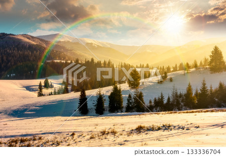 spruce forest on snowy hills at sunset. gorgeous winter landscape in mountains in evening light. storytelling cinematic image under the rainbow spruce forest on snowy hills at sunset. gorgeous winter landscape in mountains in evening light. storytelling cinematic image under the rainbow 133336704