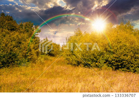 mountain landscape with foliage forest in autumn at sunset. beautiful beech woodland on rolling hills in highland under cloudy sky in evening light. environment storytelling image under the rainbow mountain landscape with foliage forest in autumn at sunset. beautiful beech woodland on rolling hills in highland under cloudy sky in evening light. environment storytelling image under the rainbow 133336707