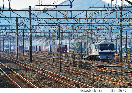 東海道本線相模貨運 JR貨運 EF210-111(新鶴見) 東海道本線相模貨運 JR貨運 EF210-111(新鶴見) 133336773