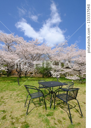 Spring park with benches and tables Spring park with benches and tables 133337048