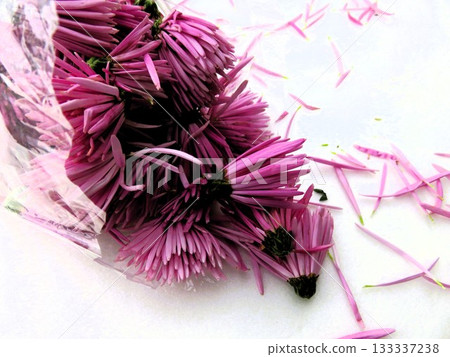 Edible chrysanthemums Edible chrysanthemums 133337238