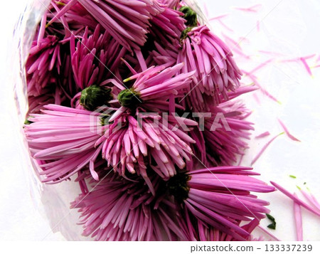 Edible chrysanthemums Edible chrysanthemums 133337239