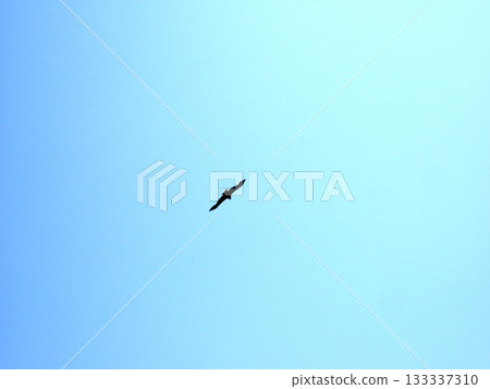 Flying in the sky Flying in the sky 133337310