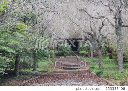 Busshoji Temple 133337406