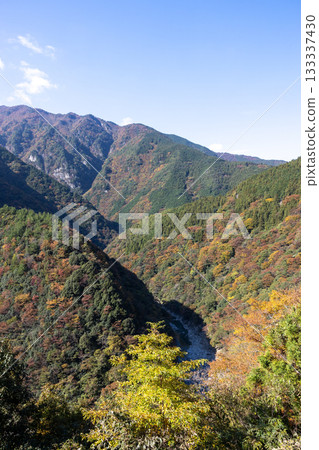 秋季的德島縣日野路溪谷(祖谷溪谷) 秋季的德島縣日野路溪谷(祖谷溪谷) 133337430