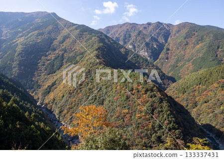 秋季的德島縣日野路溪谷（祖谷溪谷） 133337431