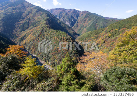 Hinoji Valley (Iya Valley) in Tokushima Prefecture in autumn 133337496